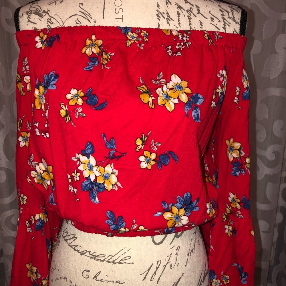 Bleuh Ciel Red Floral Crop Top